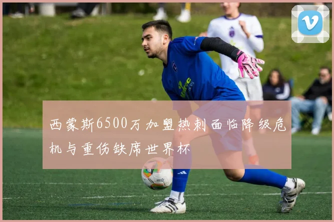 西蒙斯6500万加盟热刺面临降级危机与重伤缺席世界杯